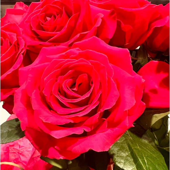 Meet your Posher, Silvia - Picture 1 of 1